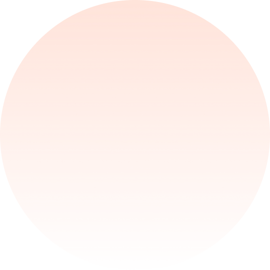 Bol.com Training Nederlands, bolcursus.nl