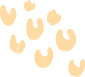 Bol.com Training Nederlands, bolcursus.nl